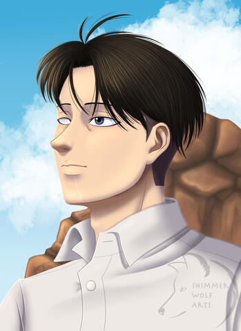 Levi Redraw